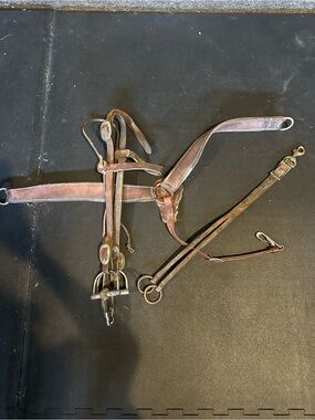 Horse tack lot, headstall, bit, breast collar, martingale